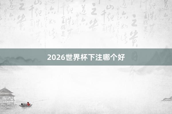 2026世界杯下注哪个好